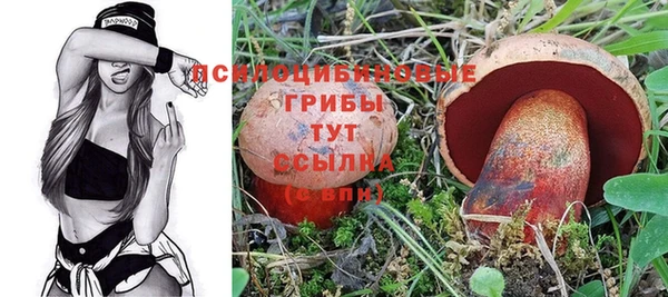 PSILOCYBIN Горнозаводск