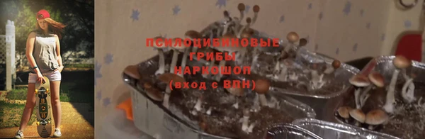 марки nbome Пестово