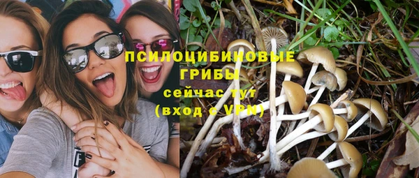 PSILOCYBIN Покров