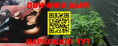 стаф Гай
