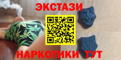 стаф Гай