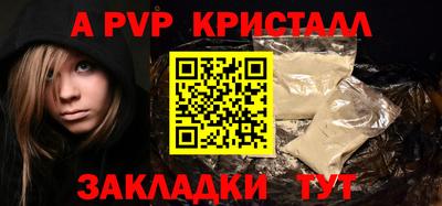 стаф Гай