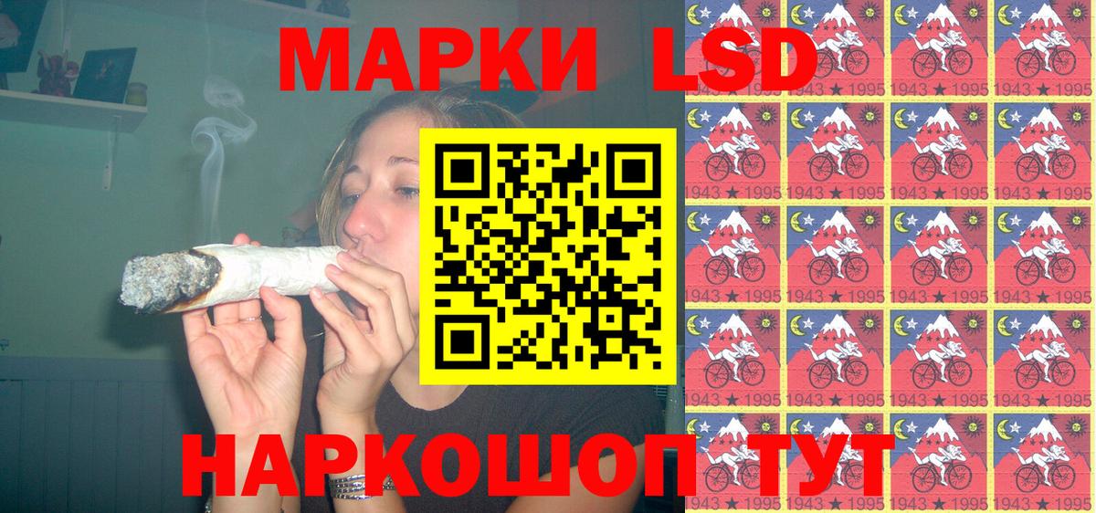 МЕФ Кашира