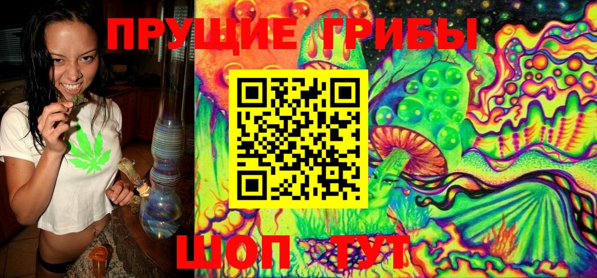 Галлюциногенные грибы мицелий  Псилоцибиновые грибы прущие грибы  Кашира 