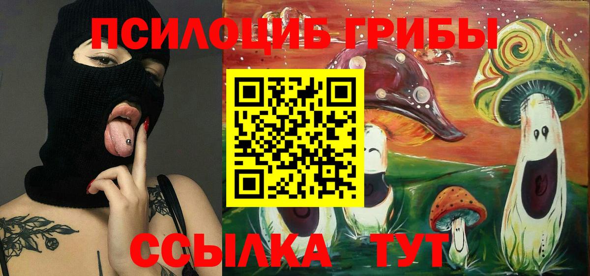 Кашира  Галлюциногенные грибы MAGIC MUSHROOMS  Вход с VPN 