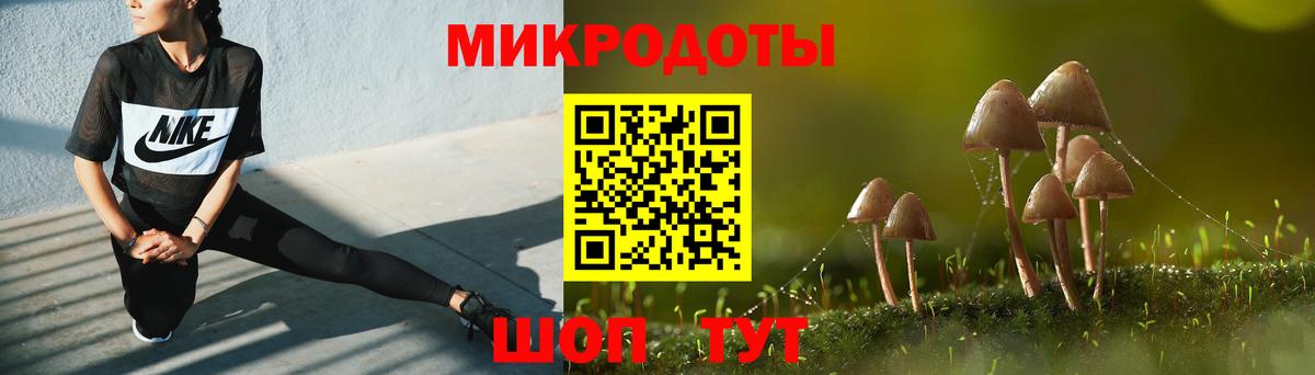 Галлюциногенные грибы GOLDEN TEACHER Кашира