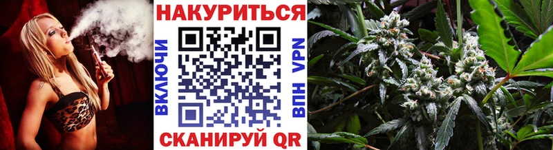 Канабис марихуана  omg рабочий сайт  мориарти клад  Кашира 